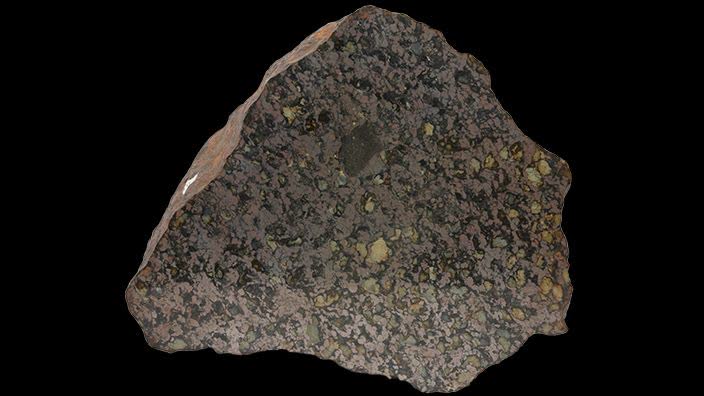 قطعه ای از شهاب سنگ بن کوبین که در موزه Western Australian نگهداری می شود