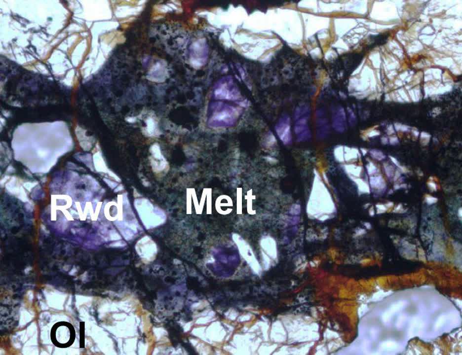 رینگ‌وودیت