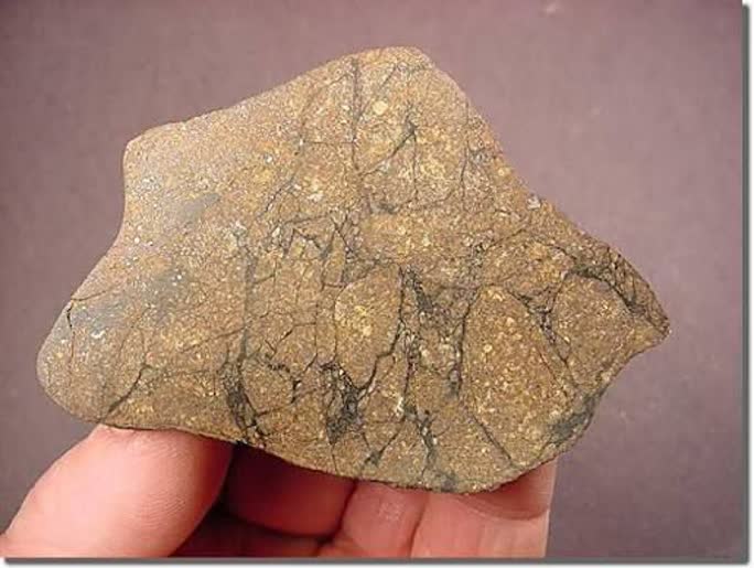 مرحله شوک شهاب‌ سنگ (Meteorite Shock Stage)