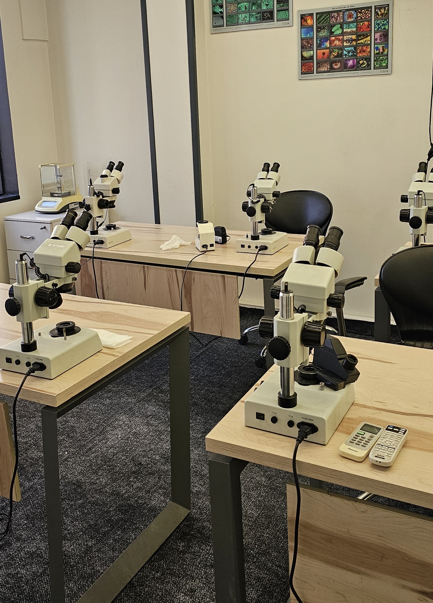 دپارتمان آموزش گوهرشناسی تحسین