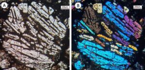 کندرول های کندریت ها