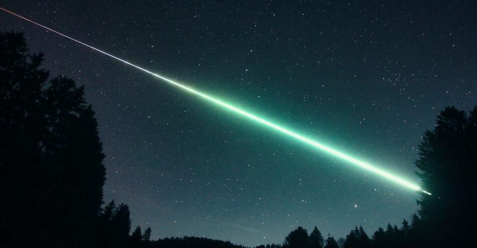 شبکه پریسما (PRISMA)