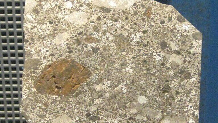 برشی از شهاب سنگ چینگتی در موزه ملی تاریخ طبیعی، ایالات متحده آمریکا