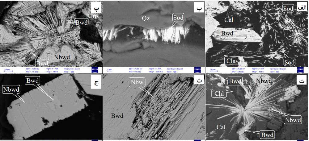 مطالعات کانی شناسی کانی های اورانیل با میکروسکوپ الکترونی